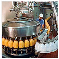 Food Processing Plants